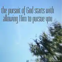 Picture for song 'hungry' by artist 'COTLC'