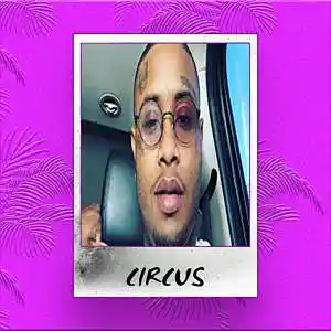 Picture for song 'CIRCUS' by artist 'Effortless'