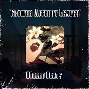 Song picture