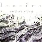 Picture for song 'Drowning Man' by artist 'lacrimm'