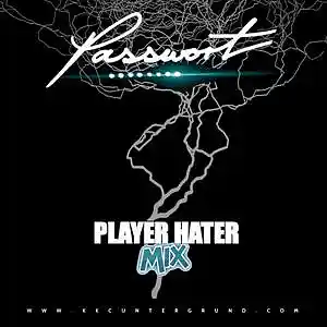 Picture for song 'Wer Bist Du ... ??!!! (Player Hater Phonk Mix)' by artist 'PASSWORT 13-8'