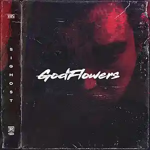 Picture for song 'GodFlowers' by artist 'SIGHOST'