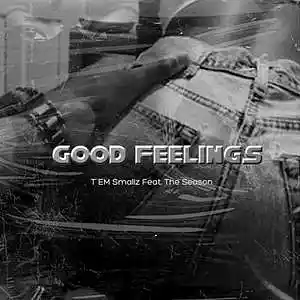 Picture for song 'Good Feelings Feat. The Season' by artist 'T EM Smallz'
