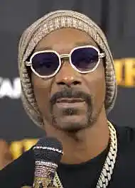 Picture for song 'Good Times (tagged) Snoop Dogg Type Beat' by artist 'TreyTheeProducer'