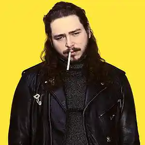 Picture for song 'Forget it w/ Hook (Post Malone type beat)' by artist 'VINAY'