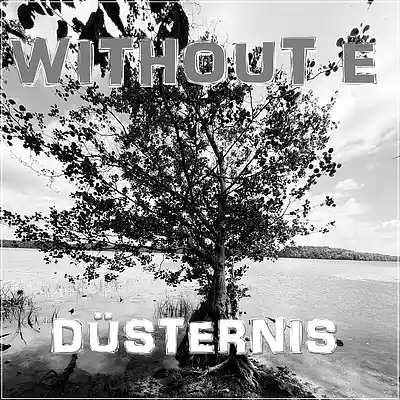 Picture for song 'D&Uuml;STERNIS' by artist 'WITHOUT E'