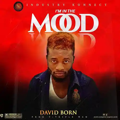 Picture for song 'David Born - I'm in the Mood (prod. Triple Man)' by artist 'David Born'