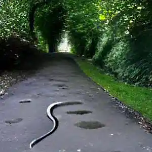 Picture for song 'Despairs Threats (They Kill Themselves)' by artist 'FEARLESS HATEFUL SCHOLAR'