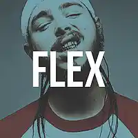 Picture for song 'Flex ..::SMOOTH::.. ' by artist 'HEATONDABEAT'