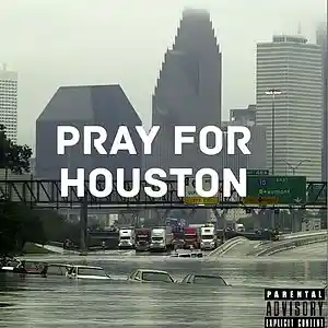 Picture for song 'pray for houston' by artist 'Lemon Driver'
