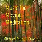 Picture for song 'Qi in Wood' by artist 'Michael Parcell-Davies'