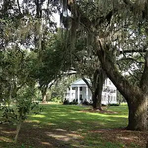 Picture for song 'Welcome T D [South]' by artist 'Pasha Paroh'