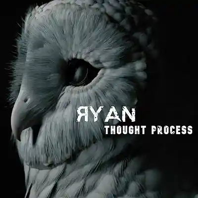 Picture for song 'Thought Process' by artist 'Ryan'