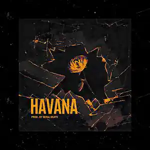 Picture for song 'Havana' by artist 'Seral Beats'