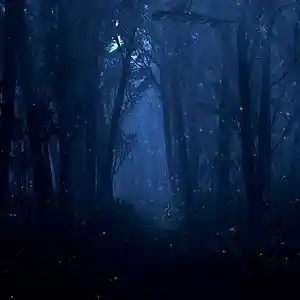 Picture for song 'Feel It' by artist 'Zovarka'