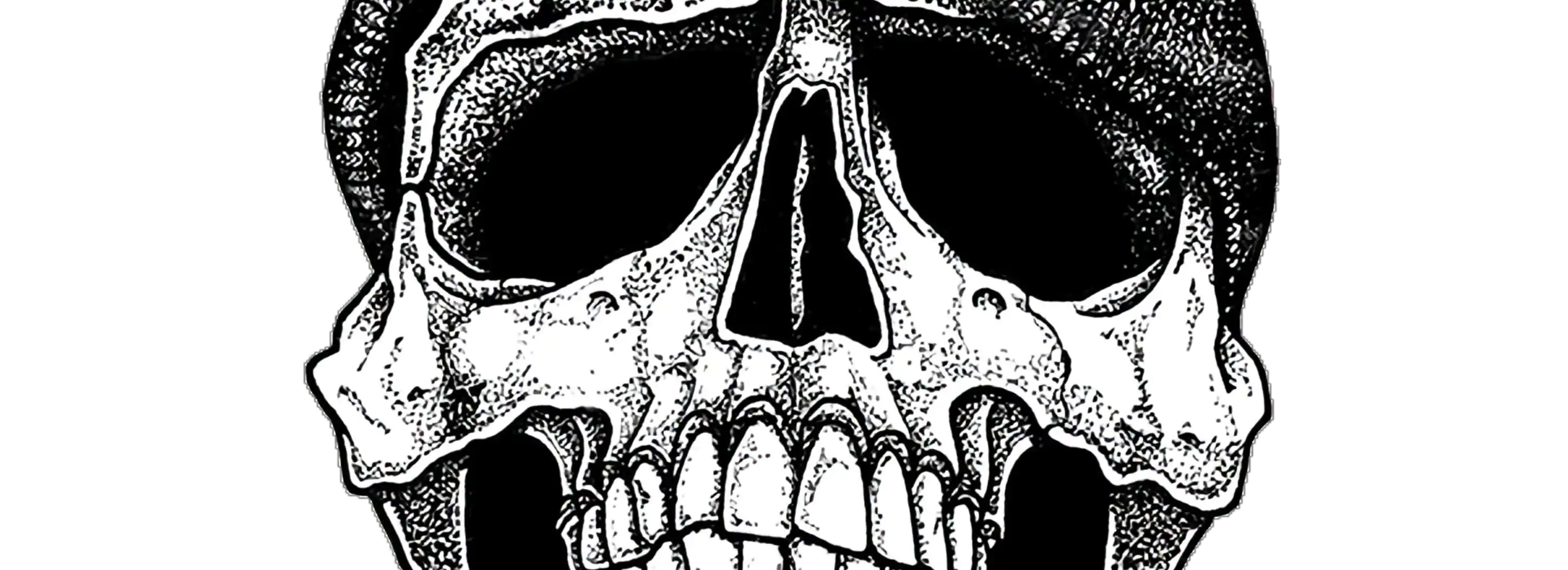 cover pic