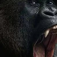 Picture for song 'Gorrilaz - Free Download' by artist 'BeatzLowkey'