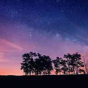 Picture for song 'Safari 140 BPM' by artist 'Chipz On The Beat'