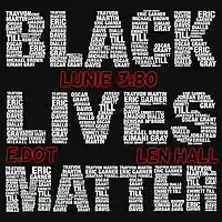 Picture for song 'BLACK LIVES MATTER ft. Len Hall & E.Dot' by artist 'LUNIE 3:80'