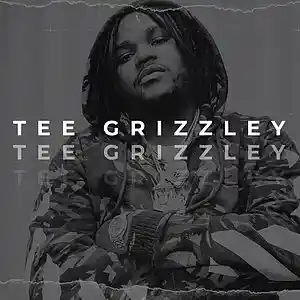 Picture for song '*FREE* Tee Grizzley x Lud Foe Type Beat - Hectic' by artist 'LuxuryBeats'