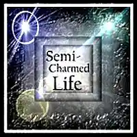 Picture for song 'Semi Charmed Life (inst)' by artist 'Numi Who Creative Covers'