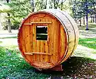 Picture for song 'Sa Sauna' by artist 'Phanta Sci'