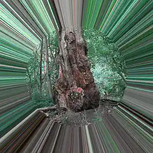 Picture for song 'The Rattler- Ramsey' by artist 'Rick Smerage'