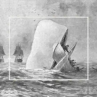 Picture for song 'The Whale (Dominic Fike x Steve Lacy Type Beat)' by artist 'SoupBeats'