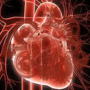 Picture for song 'Lebensmaschine' by artist 'UmaMu'