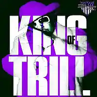 Picture for song 'King of Trill SOLD ' by artist 'WESOUAFOOL'