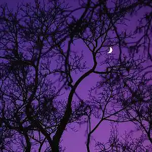 Picture for song 'PLUGGNB x SUMMRS TYPE BEAT - Soft' by artist 'WHAT?BOYBEATS'