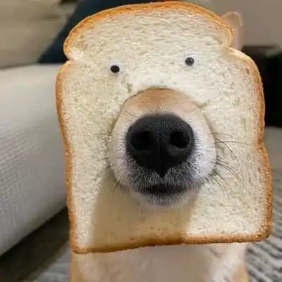 Picture for song 'Del2va - Dog in Bread' by artist 'Del2va'