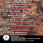 Picture for song 'By any Means' by artist 'Down By Law (ATL)'