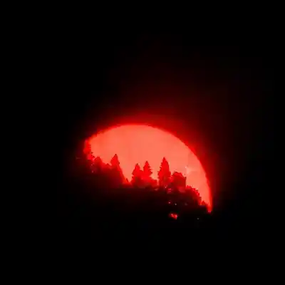 Picture for song 'another sunrise' by artist 'drama collection'