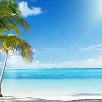Picture for song 'Summers comin'' by artist 'founta beats'
