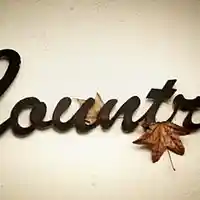 Picture for song 'Country-Produced By Money Rain Nali' by artist 'Money Rain Nali Beats'