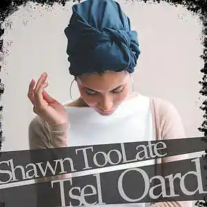 Picture for song 'Tsel_Ord' by artist 'Shawn TooLate'