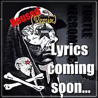 Picture for song 'Housed (Remix)' by artist 'Turtle Necromancer'