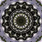 Picture for song 'Night Stroll' by artist 'Alexandre Falcao'