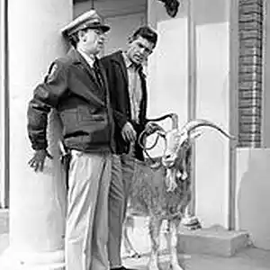 Picture for song 'Acapella Drunks,"throw bacon/mayberry"2019' by artist 'antykathera'