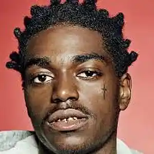 Picture for song 'uncle sam Kodak Black type' by artist 'CHEMIST'