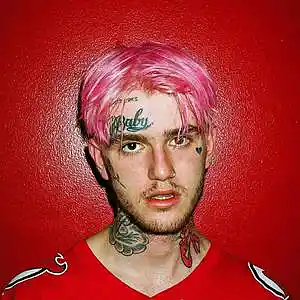 Picture for song 'Lil Peep Type Beat PINK BUCKS' by artist 'Cort Beats'