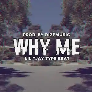 Picture for song 'Lil Tjay Type Beat 2019 "Why Me" (Prod @DIZPMUSIC)' by artist 'DIZPMUSIC'