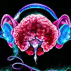 Picture for song 'Lies.mp3' by artist 'E and S BEATS'