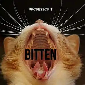 Picture for song 'Bitten 140bpm' by artist 'Professor T'