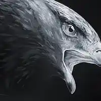 Picture for song 'Black Eagle' by artist 'RioBproduction'