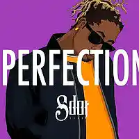 Picture for song '*NEW* Perfection (FREE DL + BUY 1 GET 1 FREE)' by artist 'SdotFire'