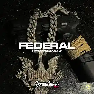 Picture for song '"FEDERAL" - Big 30 x Pooh Shiesty Type Beat' by artist 'Young Snake Beats'