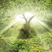 Picture for song 'Garden Of Eden - free/dl' by artist 'Jojoinsanebeats.com'