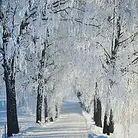 Picture for song 'Come On Home ' by artist 'D B Hankinster'